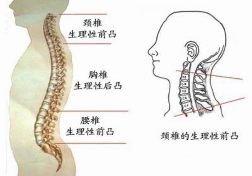 千万别把“富贵包”当成富贵