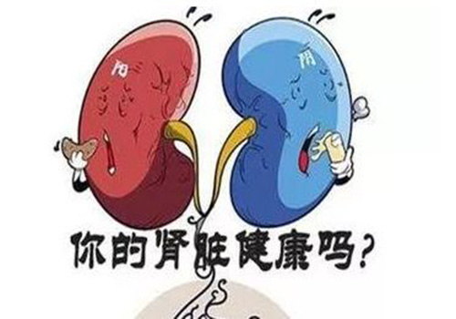 保护肾脏应该怎么做