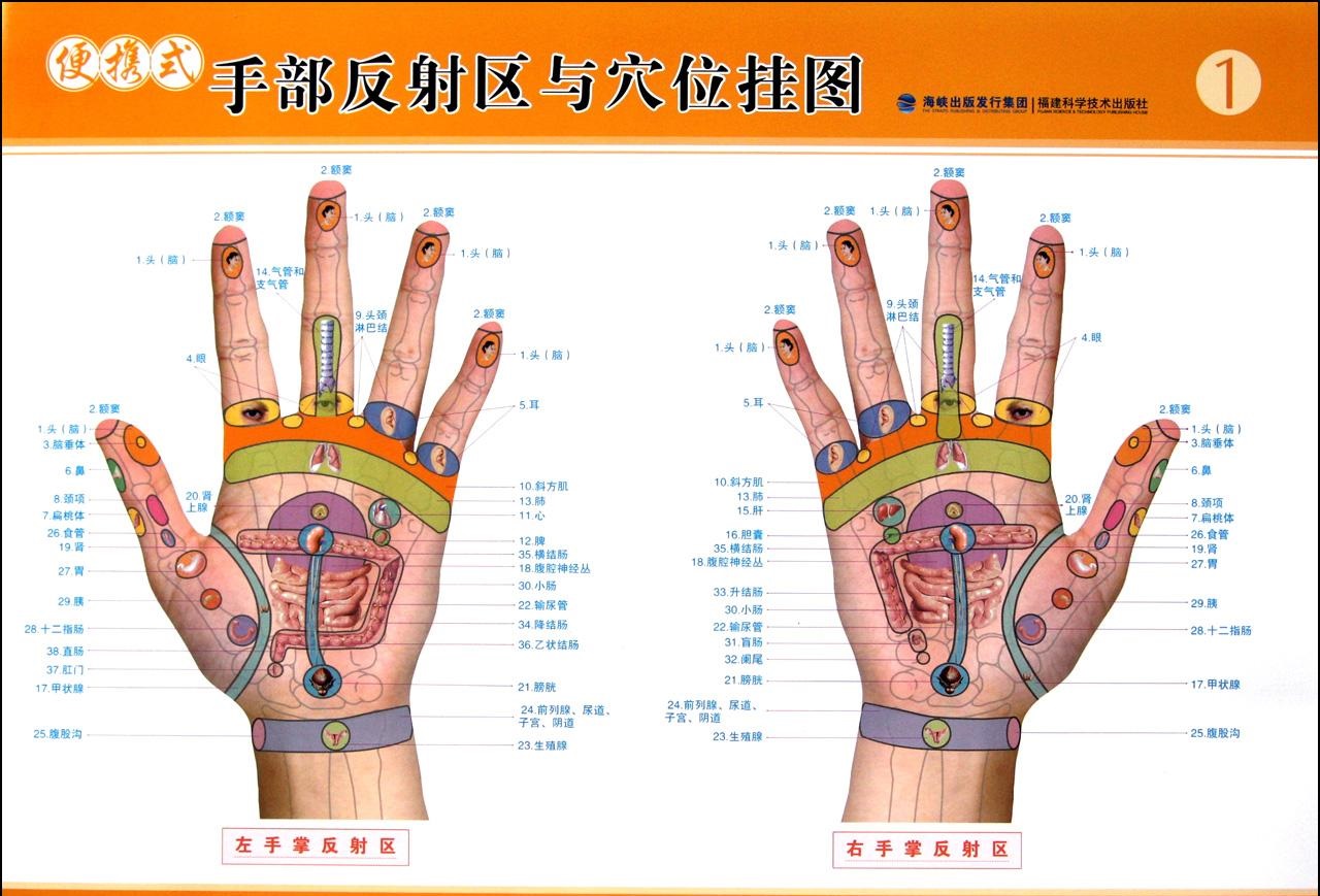 经络多久疏通一次好？