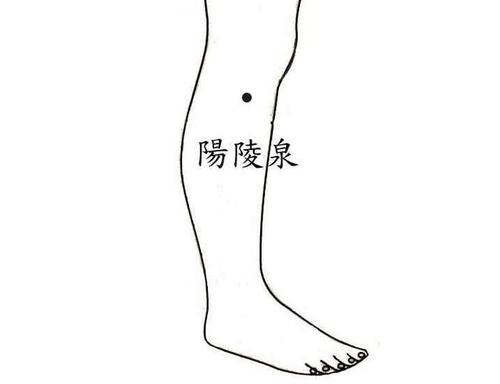 阳陵泉.jpg